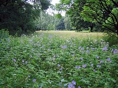 part of: Großer Tiergarten 