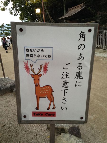 File:Board showing “Be careful with deers with Horns".jpg