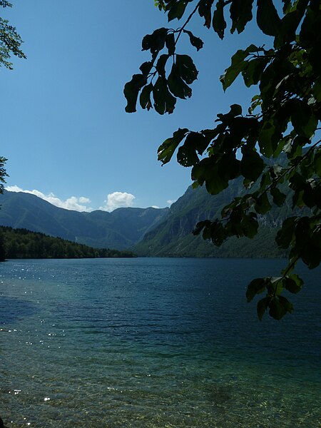 File:Bohinjsko jezero (53425157535).jpg