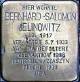 wikimedia_commons=File:Braunschweig Georg-Eckert-Straße Stolperstein Bernhard-Salomon Jelinowitz.jpg image=File:Braunschweig Georg-Eckert-Straße Stolperstein Bernhard-Salomon Jelinowitz.jpg