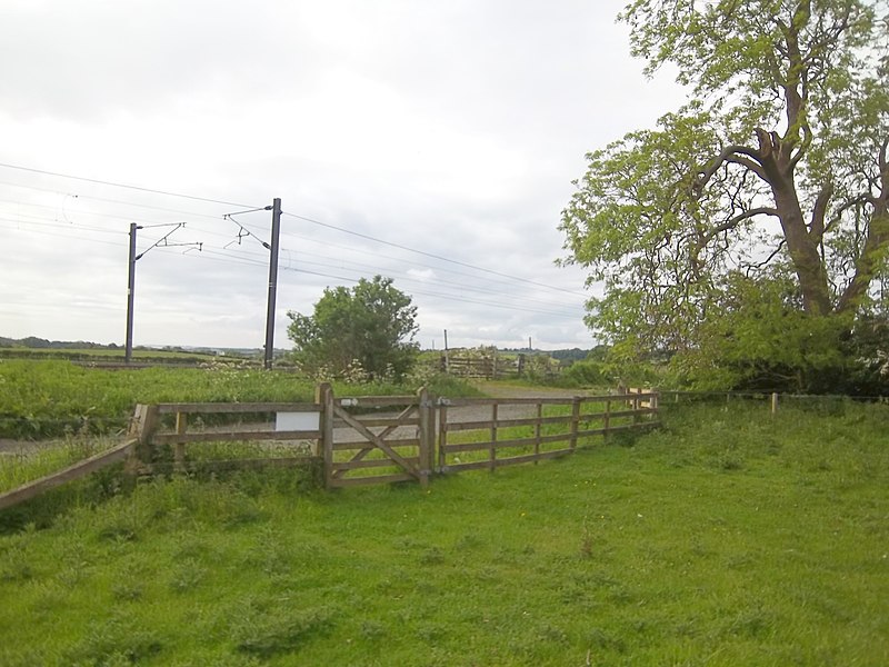 File:Bridleway joins track - geograph.org.uk - 2474859.jpg