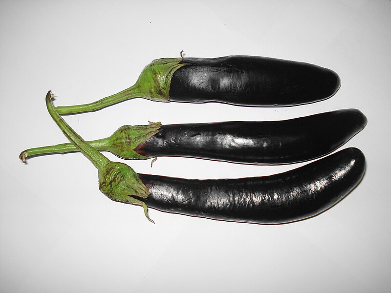 File:Brinjal long.JPG