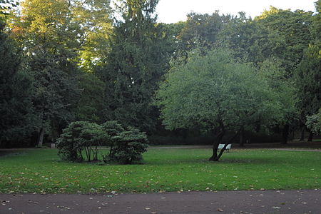 Brosepark 04