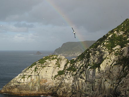 A rainbow and an albatross, over Broughton Island, the second largest island in the Snares