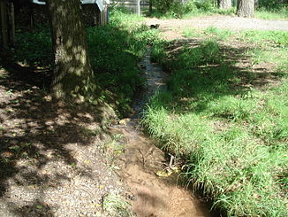 Da Brunnfloßgraben westli vo Wildenstein