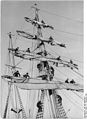 Bundesarchiv Bild 183-12958-0021, Segelschulschiff "Wilhelm Pieck", Besatzung auf Mast.jpg