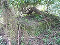 The remains of Durley Halt Platform, April 2004