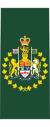 канадская армия OR-10.svg 
