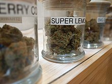 Three strain varieties at a recreational dispensary in Denver, Colorado Cannabis dispensary strains.jpg