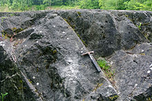 Carboniferous Limestone exposed at Tedbury Camp, Somerset, England. Carboniferous limestone Tedbury Camp.jpg