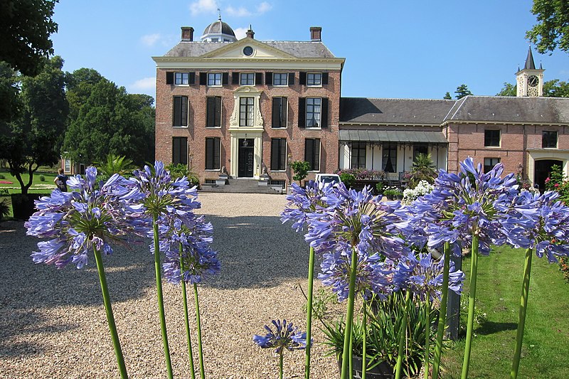 File:Castle Rozendaal with nice Agapanthus flowers along the entrance road - panoramio.jpg