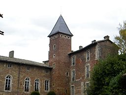 Château de la Bâtie (Ain) , vue de la haute cour.jpg