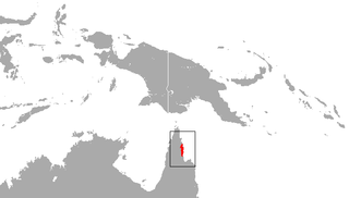 <span class="mw-page-title-main">Cinnamon antechinus</span> Species of marsupial