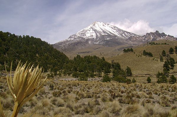 Pico de Orizaba or Citlaltépetl is Mexico's highest mountain