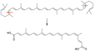 Cleavage of Lycopin to Bixin.svg