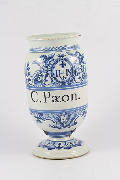Fichier:Conserve paeoniae (pivoine) - musée HCL - pot canon - pharmacie à l'Hôtel-Dieu.jpg