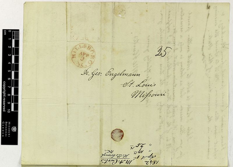 File:Correspondence - Curtis (Moses) and Engelmann (George) (Apr 01, 1842 (2) verso) BHL42884872.jpg