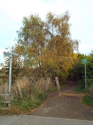 <span class="mw-page-title-main">Cox Green railway station</span> Disused railway station in Cox Green, Tyne and Wear