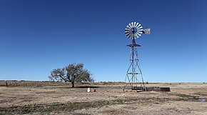 Landscape shot with prairie, tree and wind turbine