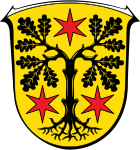 Coat of arms of the Odenwaldkreis