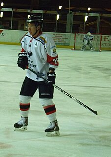 Damien Raux French ice hockey player
