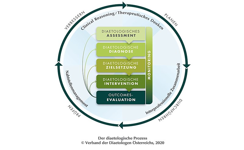 File:Das diaetologische Prozessmodell ab 2020.jpg