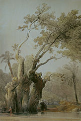 Heilige boom van Metereah, 1838