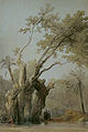 شجرة العيلة المقدسة فى المطرية، القاهرة (من لوحات روبرتس)