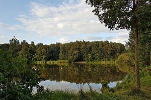 Delmegrundsee: Angelgewässer im Süden der Stadt Delmenhorst, Niedersachsen