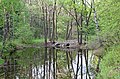 * Nomination The pond in Pereslavl arboretum. PereslavlFoto 13:37, 15 June 2012 (UTC) * Promotion Good quality. --Cayambe 09:05, 18 June 2012 (UTC)