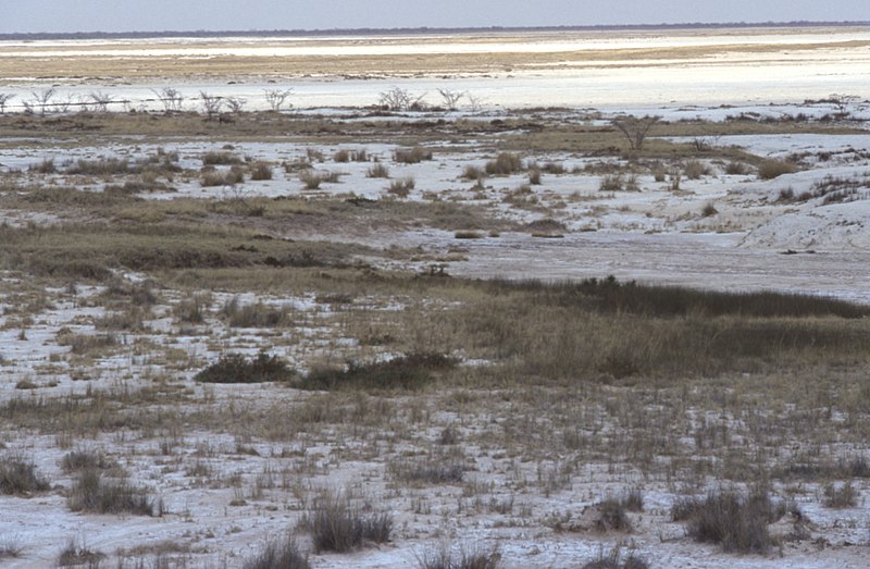 File:Dunst Etosha Oct 2002 slide379.jpg