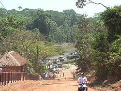 El Sena on the Río Madre de Dios