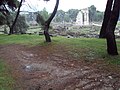 Epidaurus 013.jpg