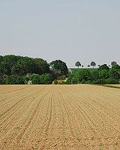 Das Erkelenzer Land bei Lövenich