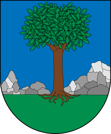 File:Escudo de Izagaondoa.svg