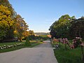 Vignette pour Parc des Glacis