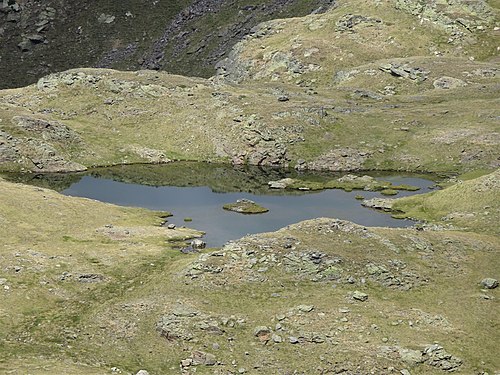 Etang des Clôts, August 2022