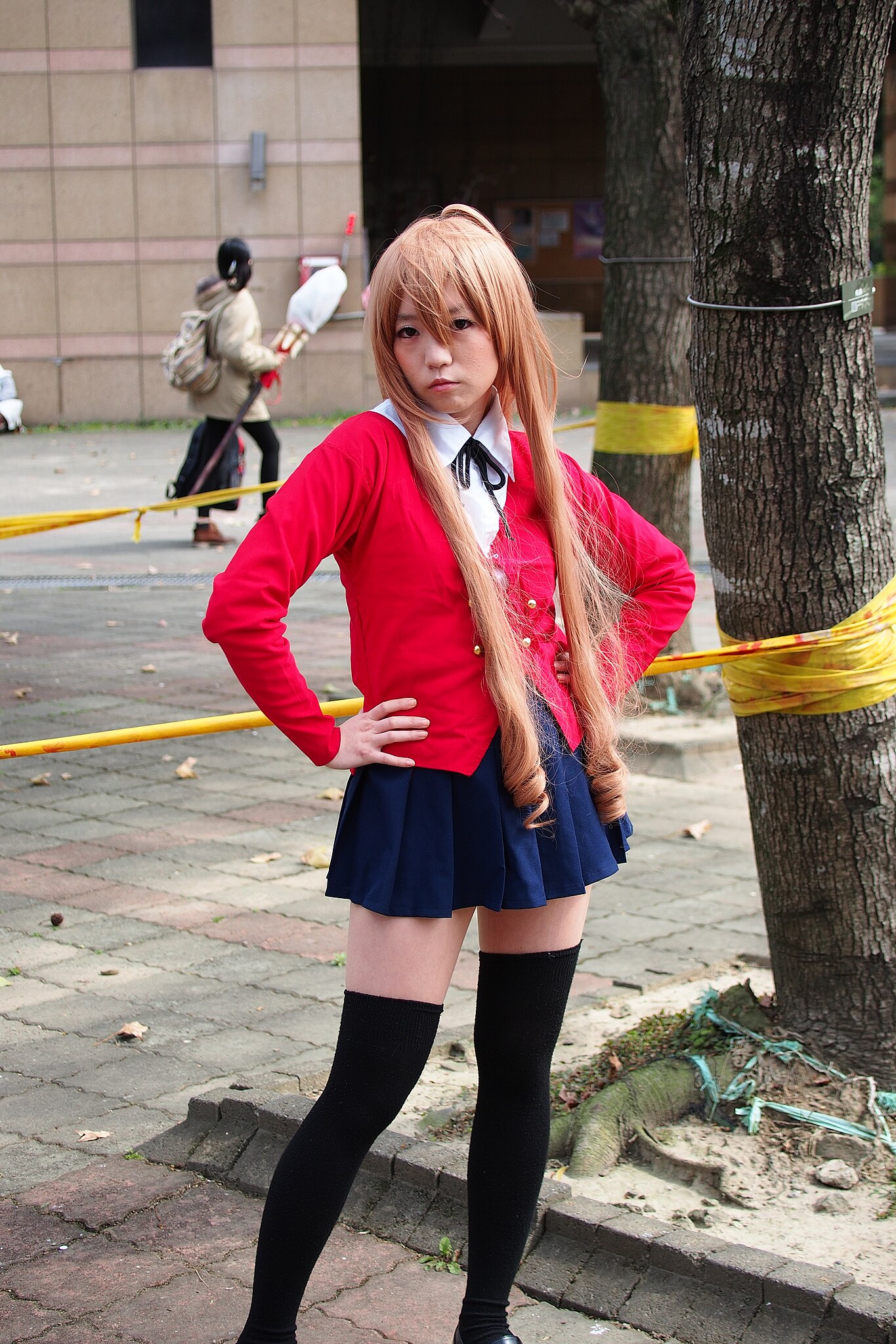 File:Cosplay of Taiga Aisaka from Toradora at Anime Boston 2013.jpg -  Wikimedia Commons