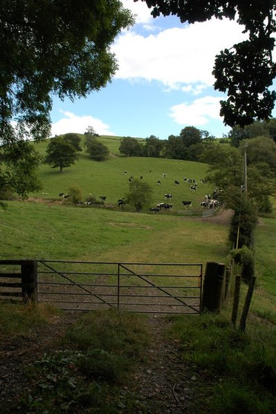 File:Farmland north of Cefn Farm near Aberhafesp - geograph.org.uk - 540831.jpg
