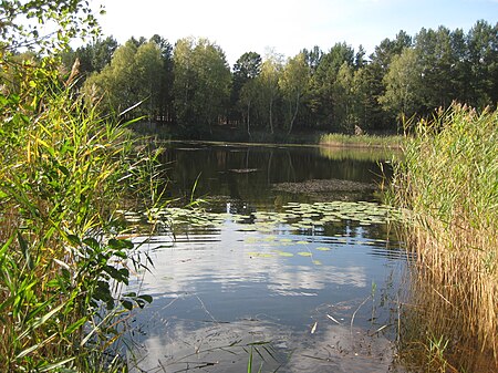 Faules Luch Sperenberg