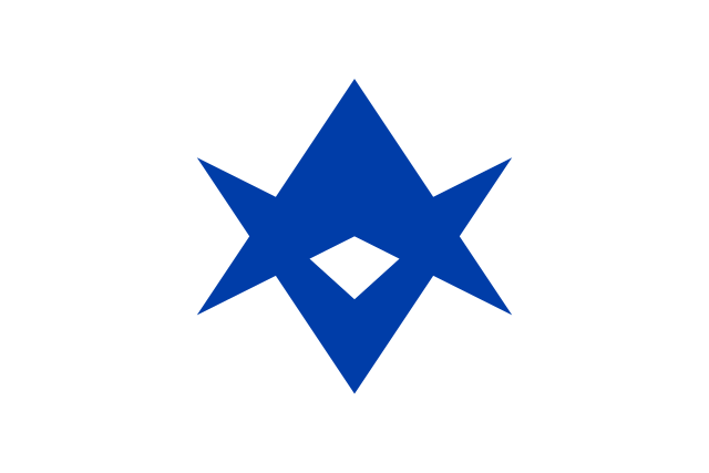 Flag of Toyota