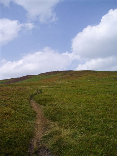 File:Footpath on Maesyrychen Mountain, going towards Moel Gamelin - geograph.org.uk - 1587529.jpg