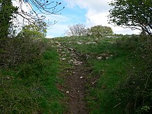 Footpath up Bedd y Cawr - geograph.org.uk - 782324.jpg