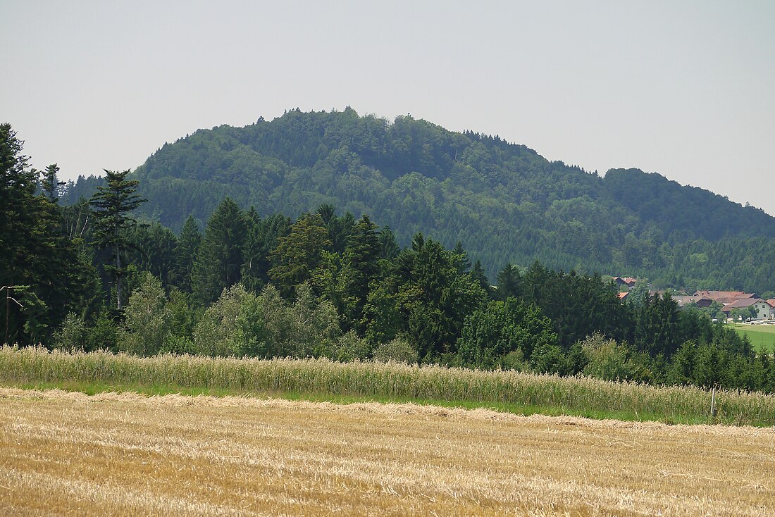 Hobelsberg (Kobernaußerwald)