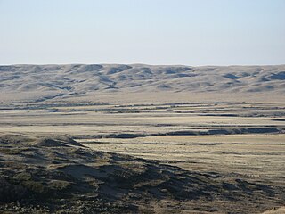 <span class="mw-page-title-main">Frenchman River</span> River in Saskatchewan and Montana