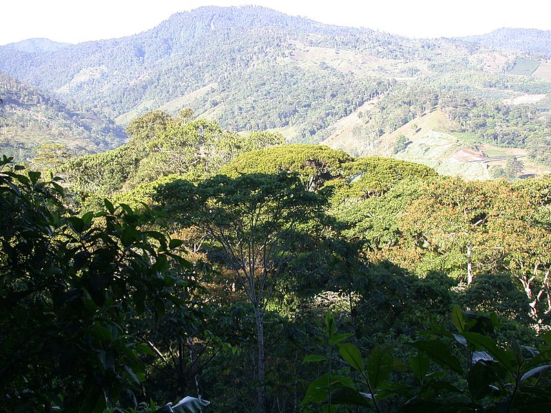 File:From Rancho Naturalista, Cordillera Talamanca.jpg