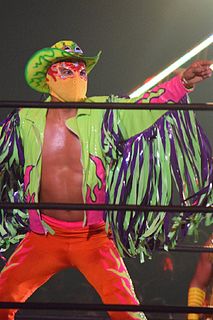 <span class="mw-page-title-main">Fuego (wrestler)</span> Mexican professional wrestler