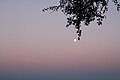 Full moon rising near Linz, Austria.JPG