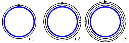 Elements of the homotopy group of the circle