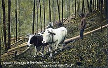 Logging scene c. 1907 Getting Out Logs Near South Royalton, VT.jpg